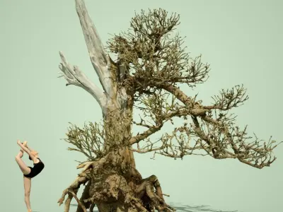 Stylised Dead Tree Collection 3D model