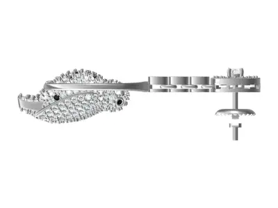 Antique Diamond Bird Hip Hop Earring 3D print model