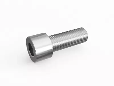 Screw 51 3D model