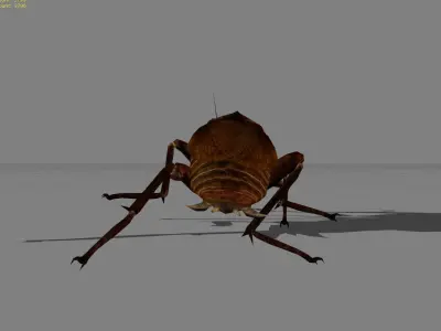 Roach Animal Low-poly 3D model