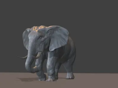 Elephant with tusks 3D model get