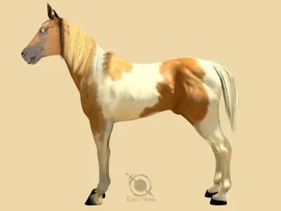 Horse 3D model 2