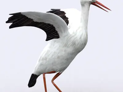 3DRT - Stork Low-poly 3D model