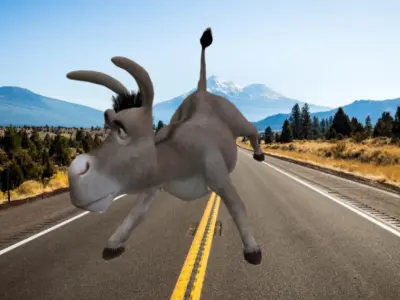 Donkey Low-poly 3D model