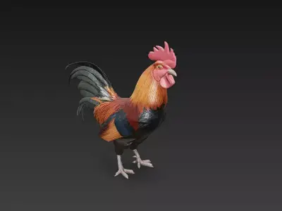 Black Rooster 3D Model Basic - Low Poly Simple Low-poly 3D model