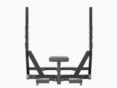 Technogym Olympic Flat Bench Pure 3D model