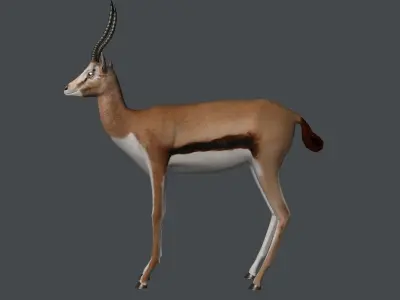 Gazelle antelope with long horns 3D model