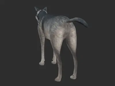 Wolf 3d model Low-poly 3D model