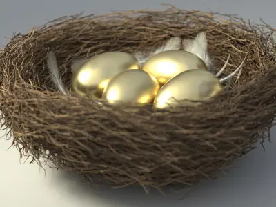 Birds Nest 3D model