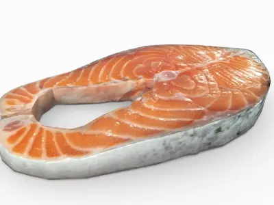 Salmon piece of 3D model