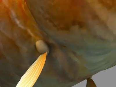 Golden fish 3D model purchase