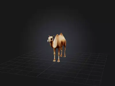 Realistic Camel Model Low-poly 3D model