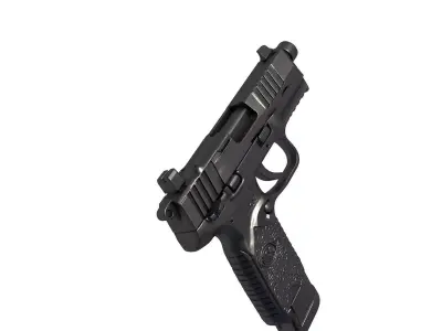 FN 502 3D print model