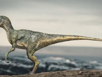 Velociraptor Animated Rigged 3D model Low-poly 3D model
