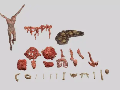 Horror Assets - Human Corpses Body Part Collection X3 Pack  Low-poly 3D model