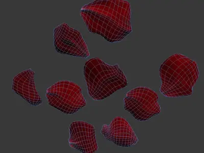Rose Petals 3D model purchase