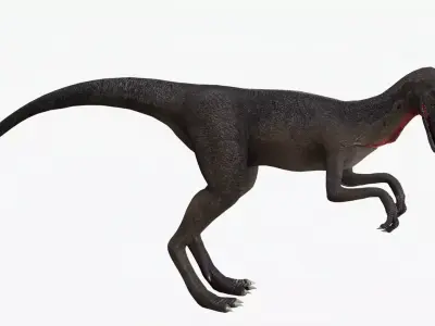 Basic Rigged Dilophosaurus With 4K Textures Low-poly 3D model