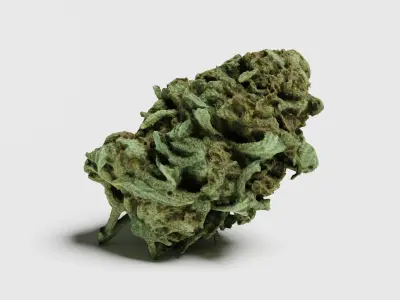 Cannabis Bud 07 3D model
