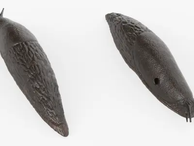  Terrestrial Slug Rigged for Blender 