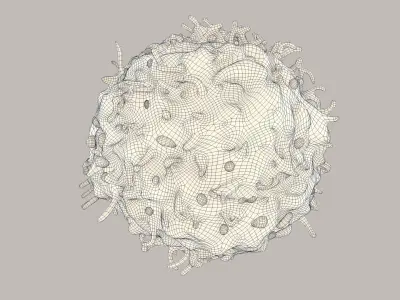 Lymphocytes T-Cells 3D model