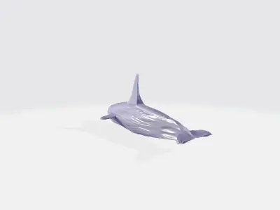 High Poly Whale 3D model