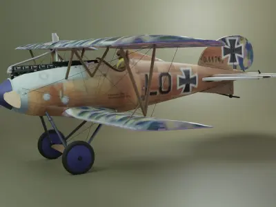 Albatros  Low-poly 3D model