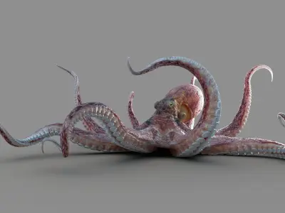 Giant Octopus RIG 3D model