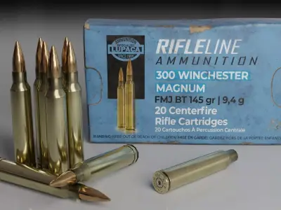 300 Winchester Magnum Rifle cartridge Low-poly 3D model