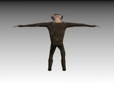 CHIMPANZE monkey 3D model