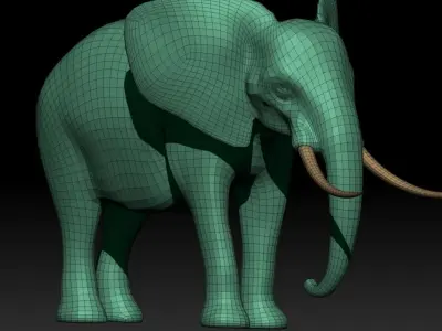 Elephant Base Mesh from Valeanu Andrei Low-poly 3D model