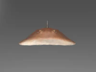Sleaper Ray RIGGED 3D model