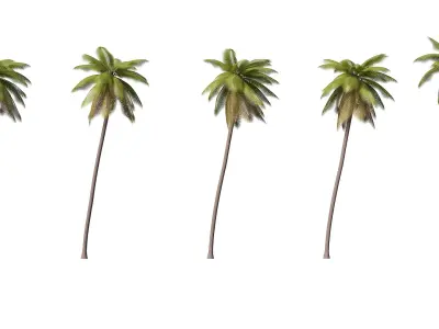 Palms Lowpoly Set 02 with LODs 3D model