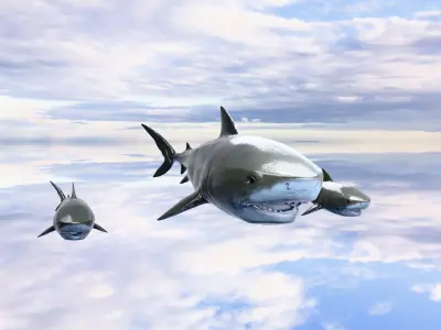 Blue Shark Low-poly 3D model