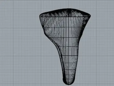 Sviluppo Anello Free 3D model