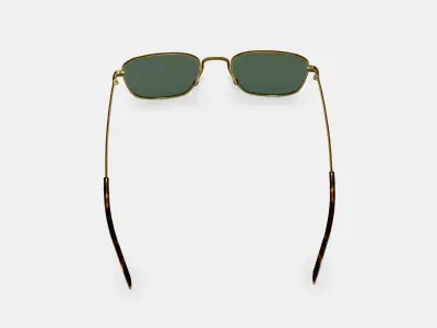 Blount Sunglasses in Polished Gold 3D model purchase
