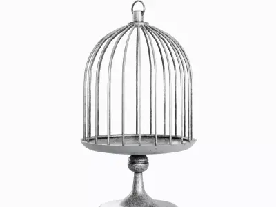 Metal Birdcage Pack