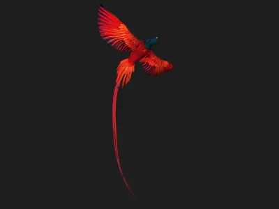 PheasantBird B5 3D model