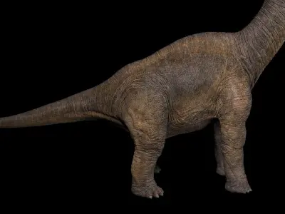 Brachiosaurus dinosaur Low-poly 3D model 5