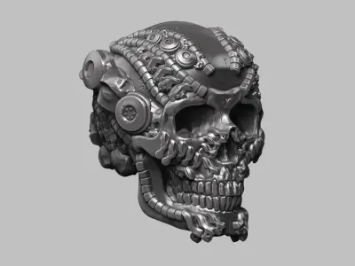 Mechanical Mayhem Cyberpunk 3D Model Skull with Biomechanical  3D print model