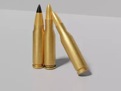 Bullets 308 Winchester 220 Swift 3D model