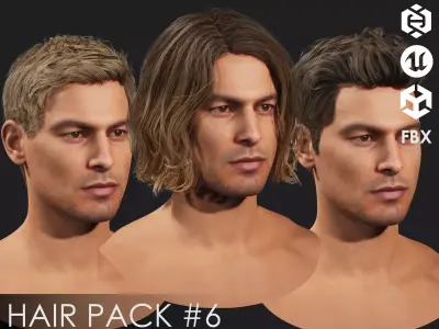 Realistic female hairstyles - pack 6 Low-poly 3D model