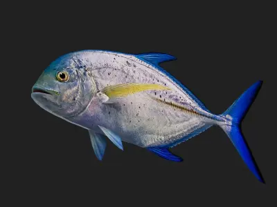 Trevally Low-poly 3D model get