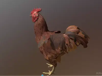 ROOSTER  CHICKEN IDLE OBSERVING  IDLING 3D model