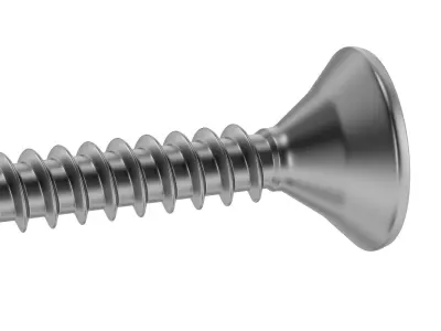 Wood Screw 3D model