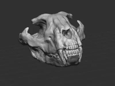 animal skull  3D model