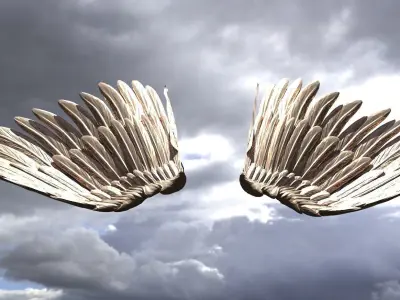 Serafim Wings 4  3D model