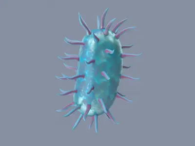 Bacterium 3D model