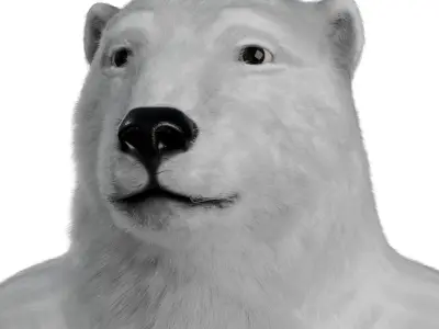 White polar Bear - 3D character 3D model