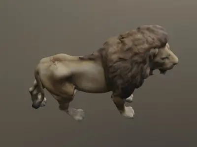 A lion 3D model