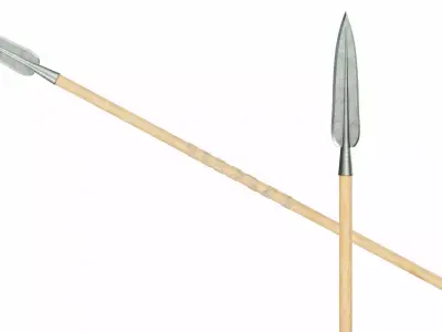 Spear with leaf shaped tip 3D model